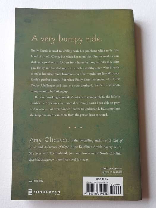 Roadside Assistance ~ Amy Clipson