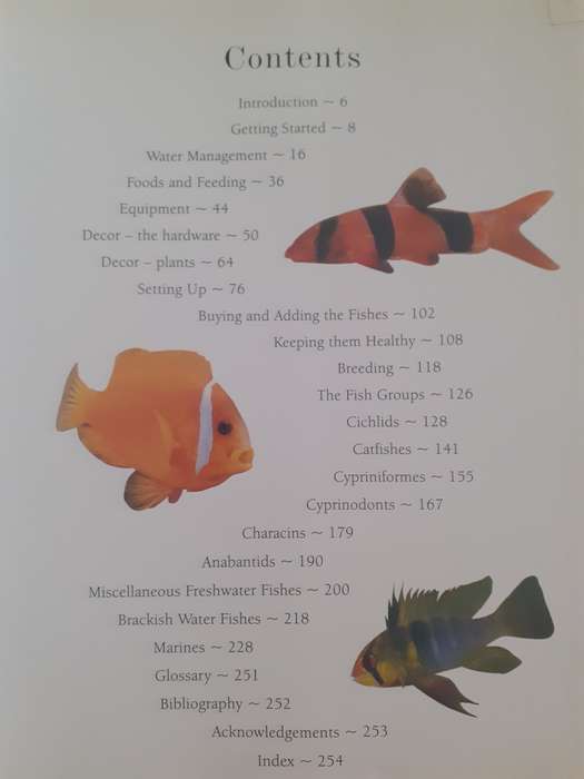 Aquarium Fish ~ Bailey / Sandford