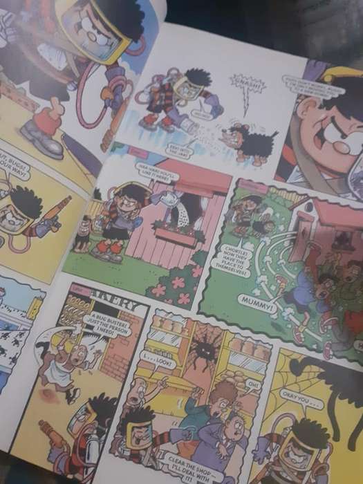 The BEANO book 2002