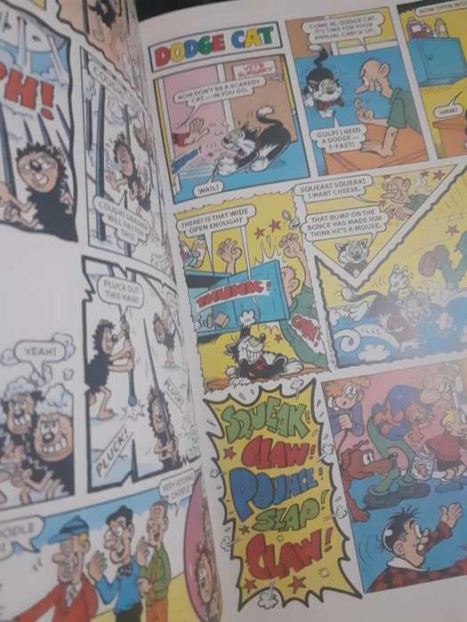 The BEANO book 2002