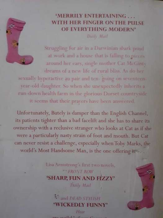 Bad Manors ~ Lisa Armstrong