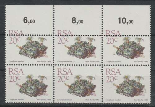 South Africa 1988 Succulent Definitive 2c block of 6 with perforation shift down in top row