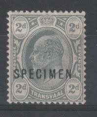 Transvaal 1905 KEVII 2d grey overprinted SPECIMEN  very fine mint