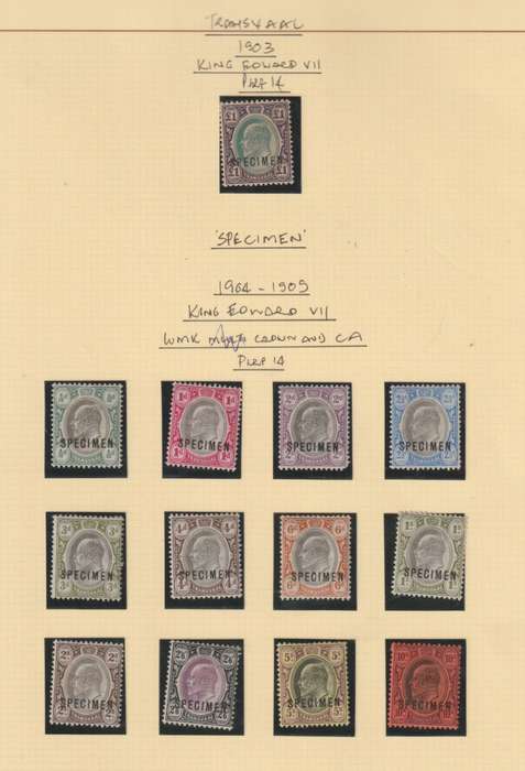 Transvaal 1902 KEVII set of 12 & 1903 £1 SPECIMEN very fine  mint