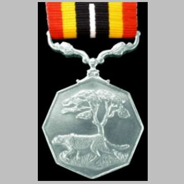 Southern Africa Medal - Full Size - With Ribbon - Numbered 50829