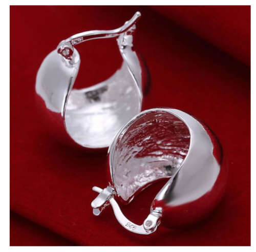 Magnificent Imported 925 Sterling Silver Filled Earrings