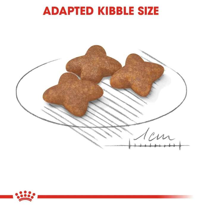 Royal Canin Mini Adult 2kg