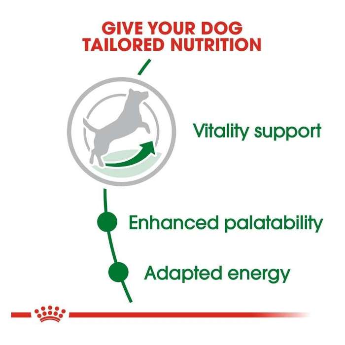 Royal Canin Mini Adult 8+ 8kg