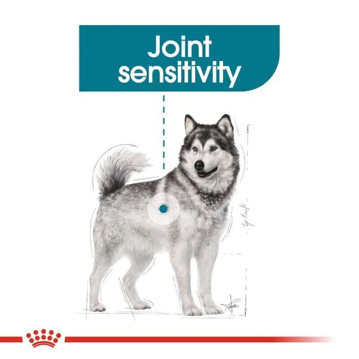 Royal Canin Maxi Joint Care 10kg