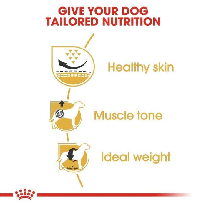 Royal Canin Pug Adult 3kg