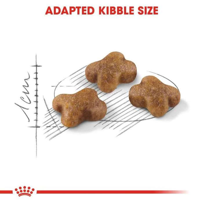 Royal Canin Kitten 10kg