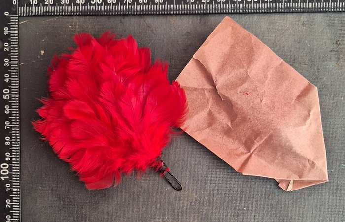 TRANSVAAL SCOTTISH PLUME STILL IN ISSUE PACKET