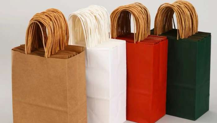 Party Gift Bag Pack of 12 Pieces 13x8x17cm