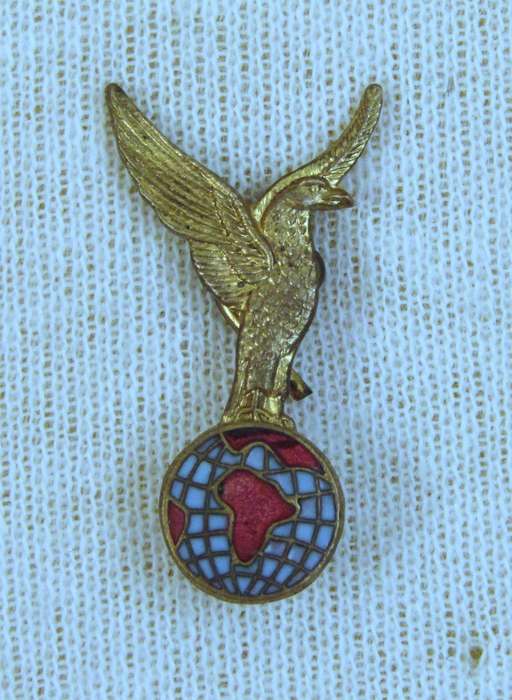Vintage RAF Royal Airforce Association Brass and Enamel Badge