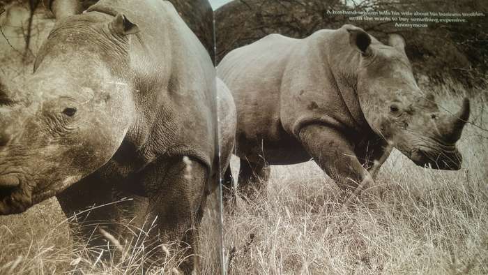 BOOKS - My Book ( Animal Photo`s ) Brian Joffe