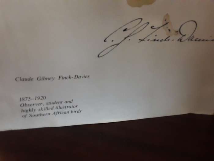 Books :  Claude Gibney Finch Davies 1875-1920  His Life and Word paintings of Birds 1976