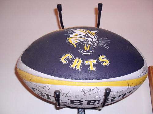 Cats rugby ball - signed by the last cats team