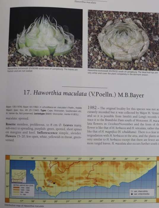 HAWORTHIA REVISITED - A REVISION OF THE GENUS. By Bruce Bayer