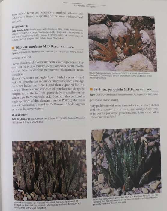 HAWORTHIA REVISITED - A REVISION OF THE GENUS. By Bruce Bayer