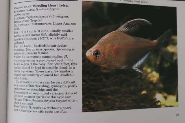FRESHWATER AQUARIUM FISHES. BY John A Dawes