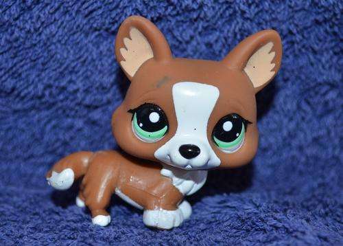 Littlest Pet Shop (LPS) Corgi Dog