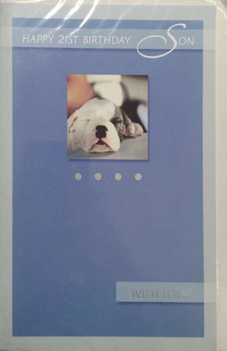 Greeting/Birthday Card + Envelope - Happy 21st Birthday Son [New]