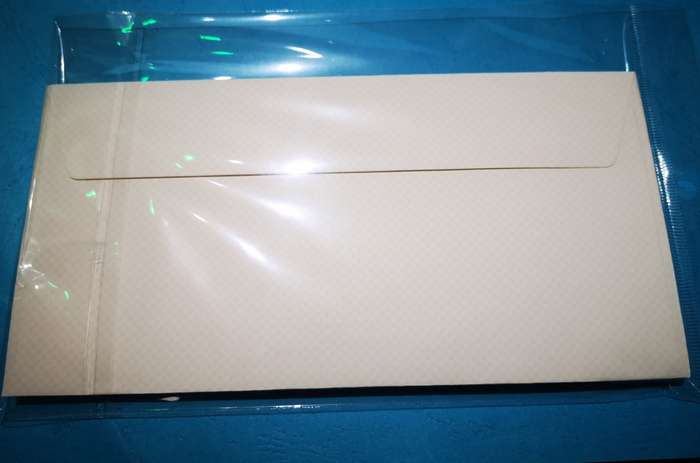 Envelopes 220mm x 110mm - Professional Look - Pack of 10