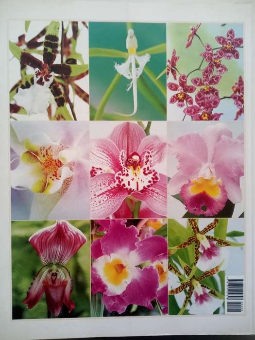 Orchids (Soft Cover) The Amazing World Of Orchids