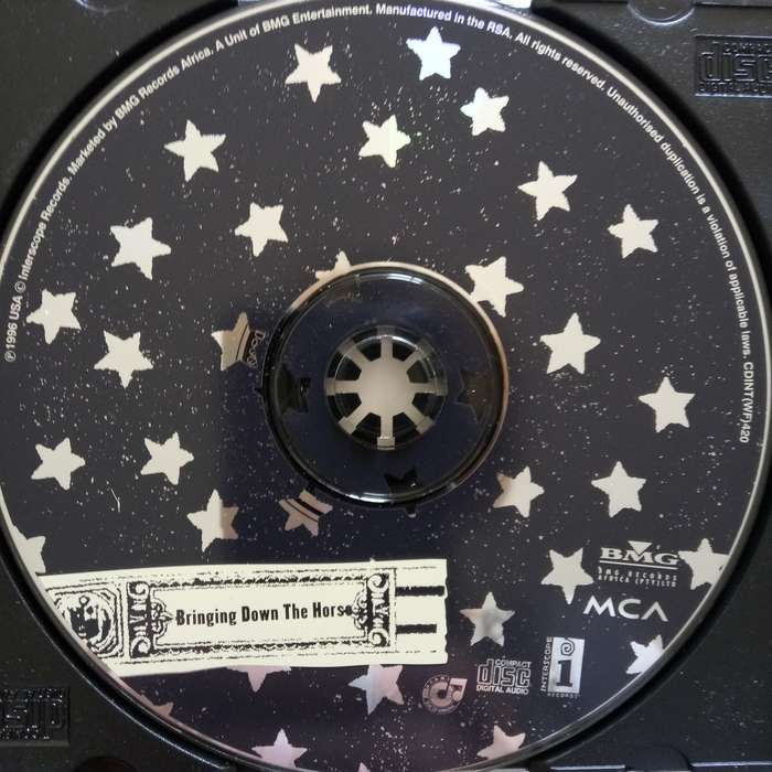 The Wallflowers (CD) Bringing Down The Horse