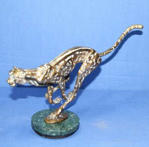 Danie de Jager Cheetah