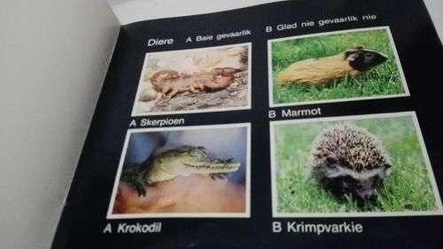 Mannemarak kinder boekie! Kyk!