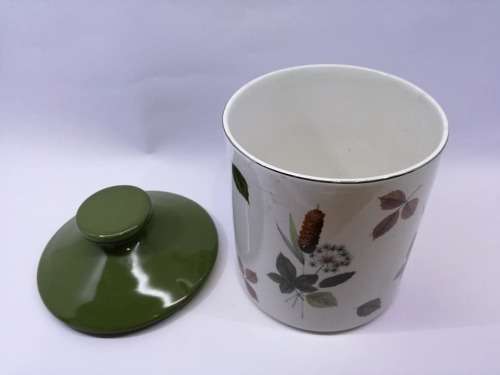 Midwinter Staffordshire semi porcelain cannister