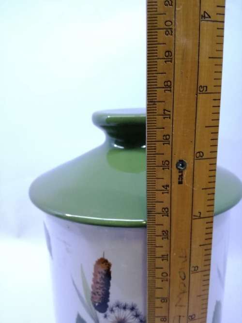 Midwinter Staffordshire semi porcelain cannister