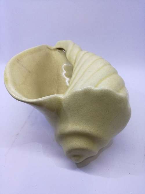 Drostdy shell - yellow