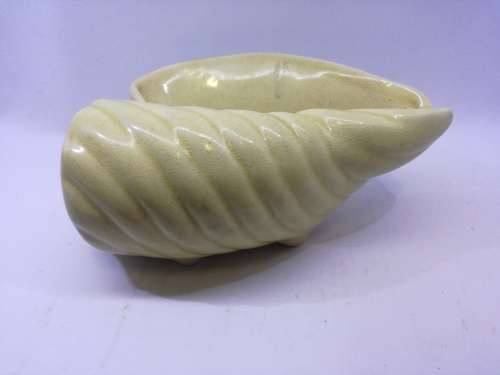 Drostdy shell - yellow