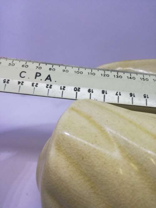 Drostdy shell - yellow