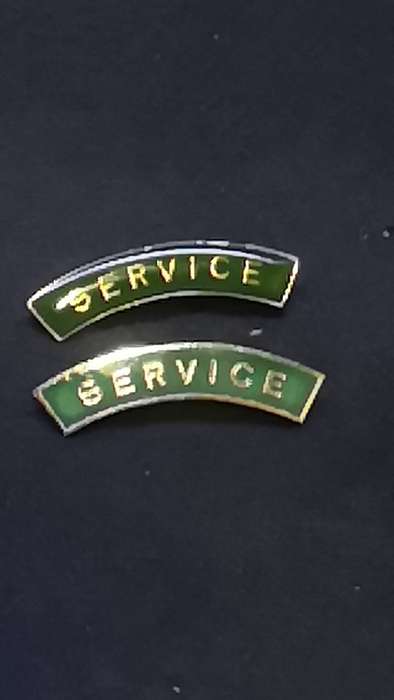 Lapel pin/badge