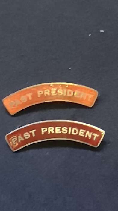 Lapel pin/badge