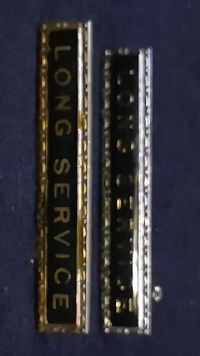 Lapel pin/badge