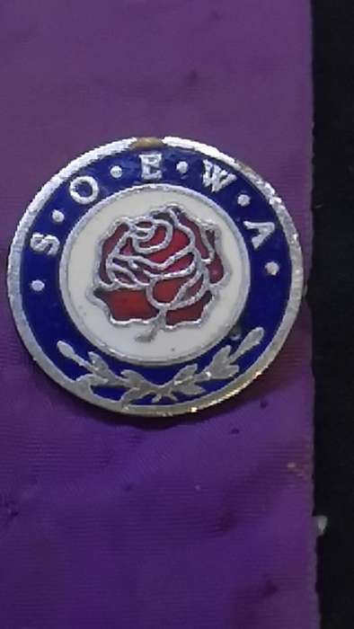 Lapel pin/badge