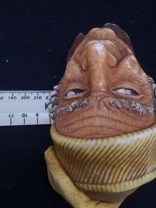 Bossons head