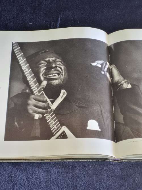 Portrait of the Blues by Paul Trynka