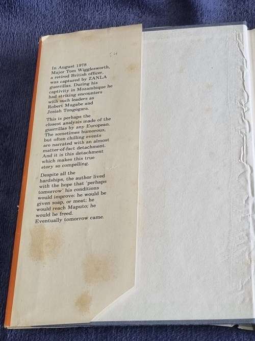 Perhaps Tomorrow by Tom Wigglesworth  | Rhodesiana