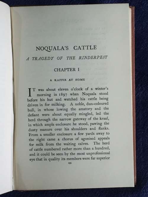 Between Sun and Sand A Tale of an African Desert by William Charles Scully |  Also Noqualas Cattle