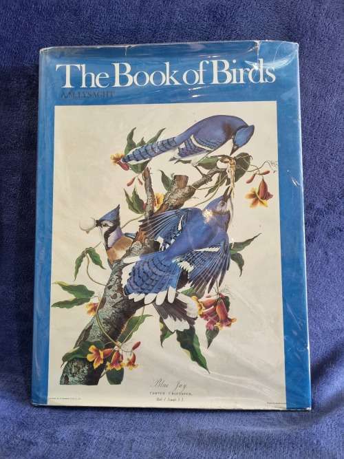 The Book of Birds by AM Lysaght | Beautiful Large Book