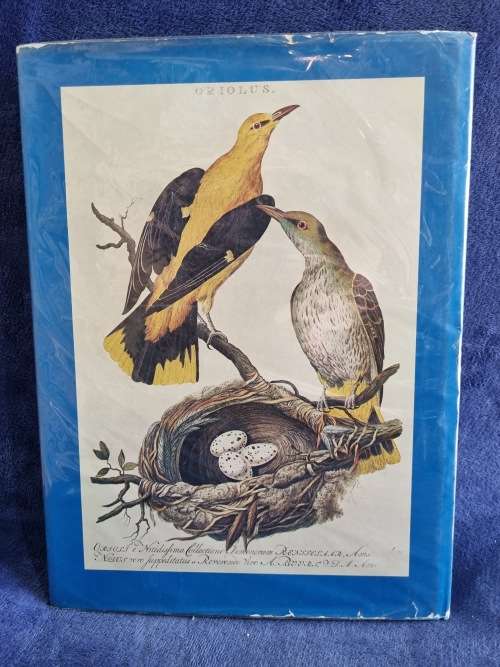 The Book of Birds by AM Lysaght | Beautiful Large Book