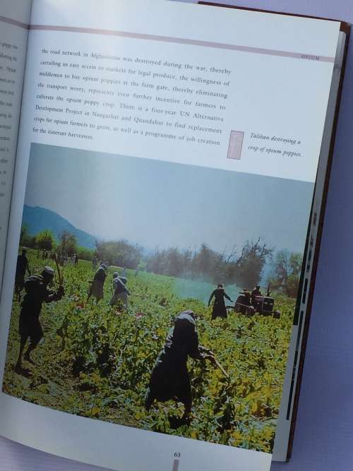 Opium by Colin R Shearing | A Journey Through Time
