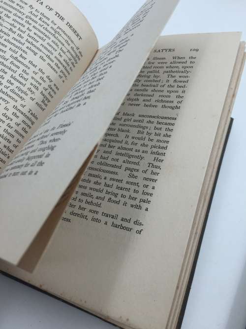 A Vendetta of the Desert William Charles Scully  | First Edition 1898  Scarce