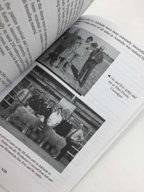 Sheep in my Blood by Cameron McMaster | Dohne Merino Sheep Signed