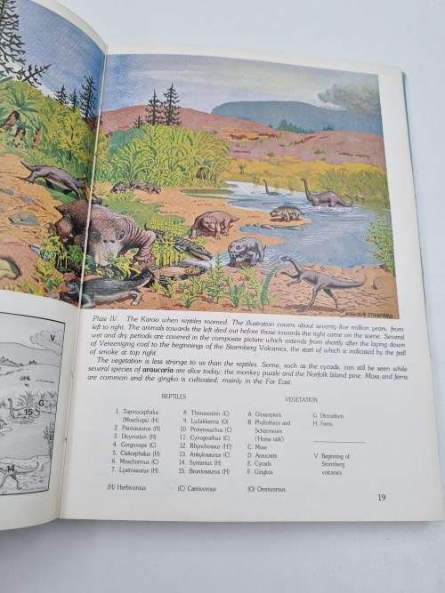 Footprints on a Southern Land - A R Willcox